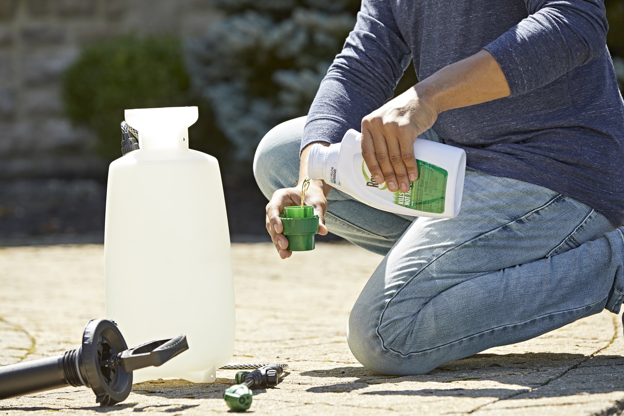 Roundup For Lawns 2 Concentrate Weed Killer for Northern Grass, 32 oz., Kills 250+ Weeds