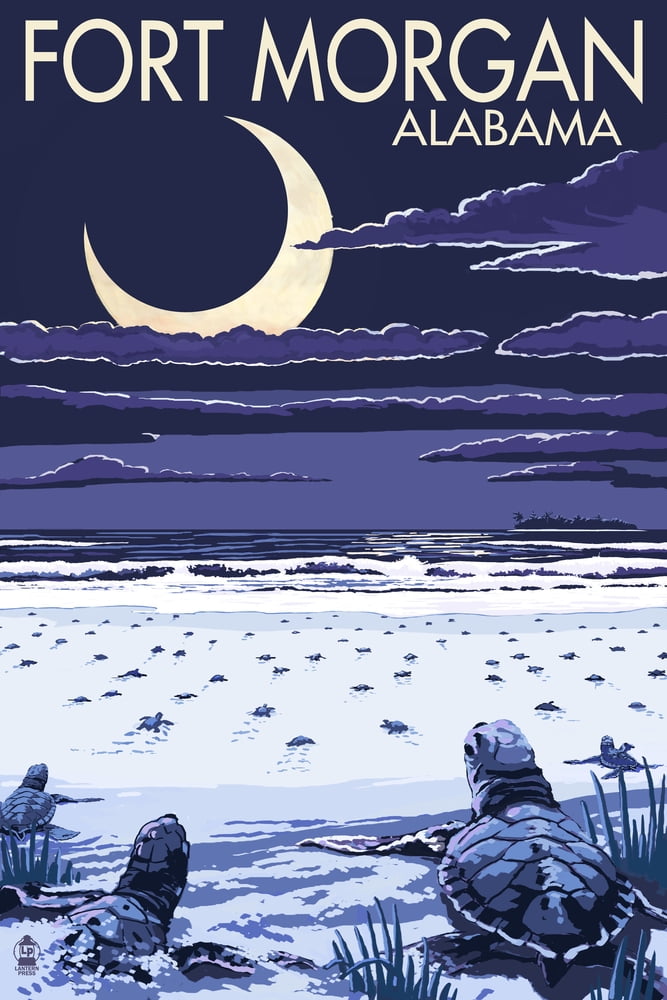 Fort Alabama, Sea Turtles Hatching (24x36 Giclee Gallery Art