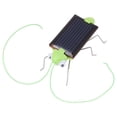 thumbnail image 1 of Juguete de insecto solar NikouMX cucaracha verde y negro 1 pieza, 1 of 8