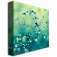thumbnail image 3 of Trademark Fine Art 'Spring Notes' Canvas Art by Beata Czyzowska, 3 of 3