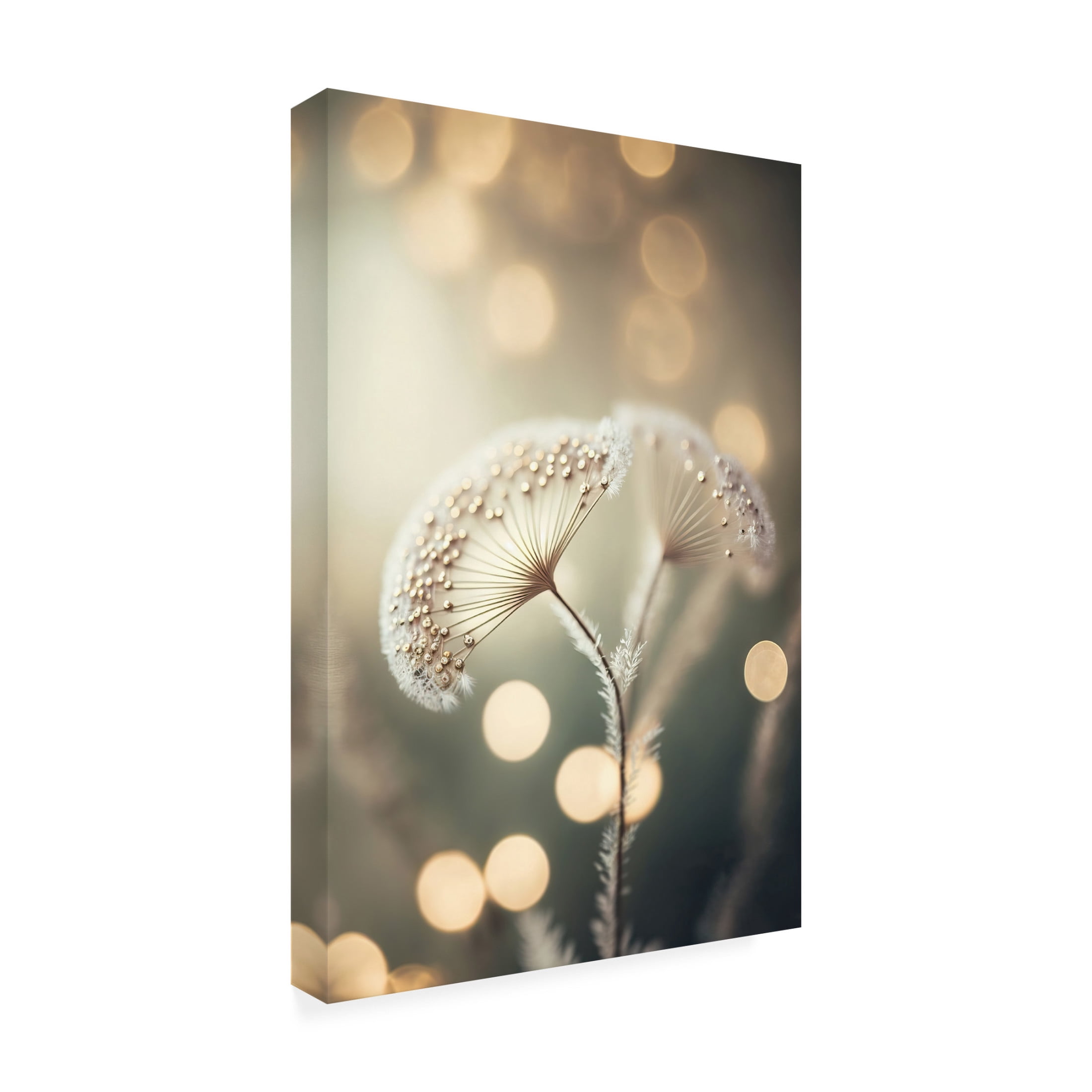 Canvas Wall Art - Treechild 'Golden Pearls' Wall Art for Living Room, Bedroom, or Office D?cor by Trademark Fine Art - 22 x 32 Inches
