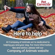 Pet Corrector Pet Repellent, 200ml