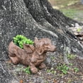thumbnail image 3 of Zeckos Flying Wiener Dog Planter 18" Brown, With Drain Hole, Rustic Garden Decor, 3 of 11