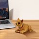thumbnail image 5 of Adorno de coche con chihuahua de cabeza oscilante, perro que asiente con la cabeza, 5 of 6