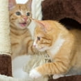 thumbnail image 5 of PETMAKER 35in Cat Tree with Ladder, House, Scratch Posts, and Toy (Brown), 5 of 8