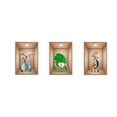 thumbnail image 2 of Decoración del hogar, decoración de habitaciones, efecto de decoración de pared, calcomanías en macetas, pasillo, escalera, pintura decorativa, hotel, restaurante, pared, plantas y flores, mural, imag, 2 of 3