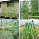 thumbnail image 5 of Toystoory Red de escalada para plantas, enrejado de pepino de nailon, soporte de malla para ventana de jardín, red de protección para cultivo, Jardín y Patio 0.9 m x 1.8 m, 5 of 6