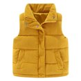 thumbnail image 2 of Hicidod Baby Corduroy Vest Solid Color Windproof Winter Warm Jackets Zip Up Sleeveless Button Stand Collar Waistcoat Deals of the Week, 2 of 7