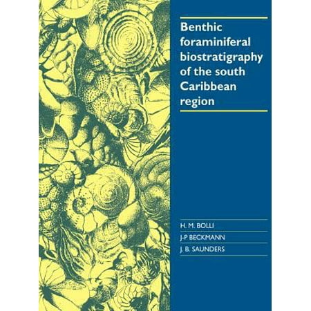 Benthic Foraminiferal Biostratigraphy Of The South