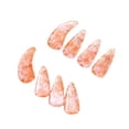 thumbnail image 4 of Fiocias 8 Pieces Guzheng Finger Picks for Adult Curved Double Sided Nail Covers Finger Nail Protectors Sturdy Compact Material Comfortable Design Suitable for Learning Performance String style E, 4 of 8