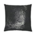 thumbnail image 2 of Ahgly Company Color Focus Black Coussin Décoratif d'Intérieur, 18 Po X 18 Po, 2 of 6