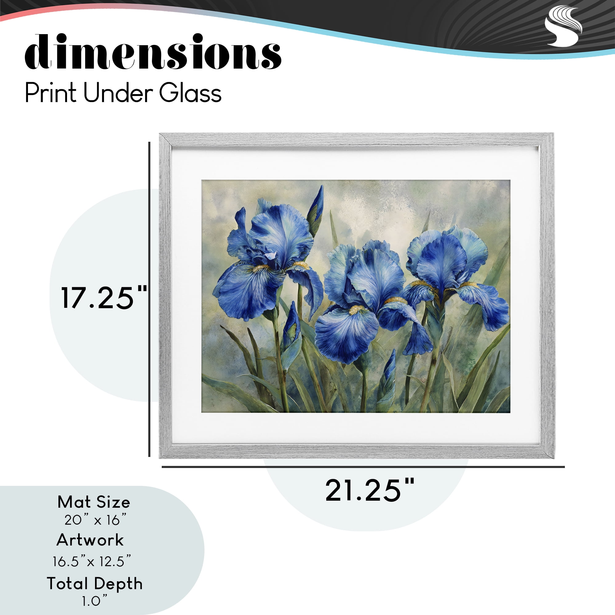 Stupell Industries Drawn Blue Iris Flowers Gray Framed Print Under Glass, design by Franklyn Gregory