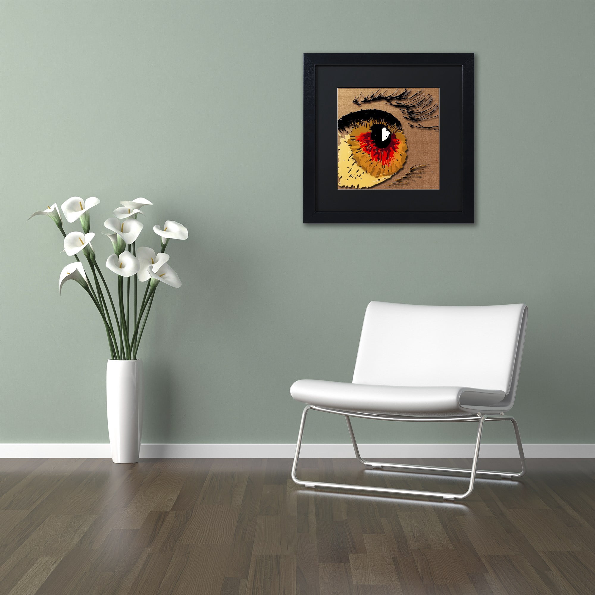 Trademark Fine Art "Eye 1" Canvas Art by Roderick Stevens, Black Matte, Black Frame