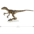 thumbnail image 1 of Jurassic World Toys Amber Collection Velociraptor Figura de dinosaurio Juguete coleccionab Jurassic World Jurassic World Toys, 1 of 2