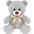 thumbnail image 1 of PELUCHERIA| Oso de Peluche clásico Gris, 1 of 5