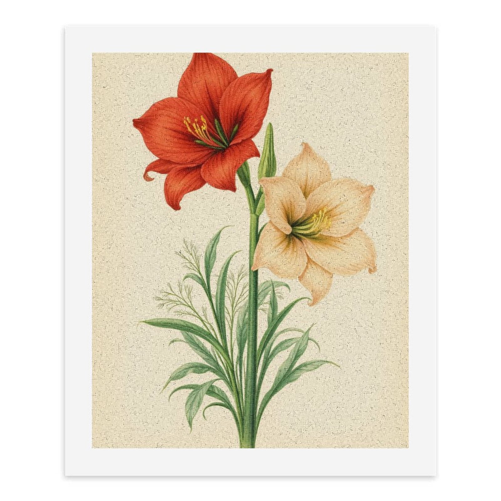 Paint By Numbers Kit for Adults Beginner - DIY Vibrant Botanical Art Floral Duo Canvas Painting Kits for Adults, Frameless Paint By Number for Adults for Home Wall Decor 16x20 Inch
