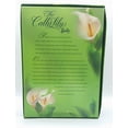 thumbnail image 3 of Barbie 29912 2001 The Calla Lily 3rd in Series Doll Barbie -, 3 of 3