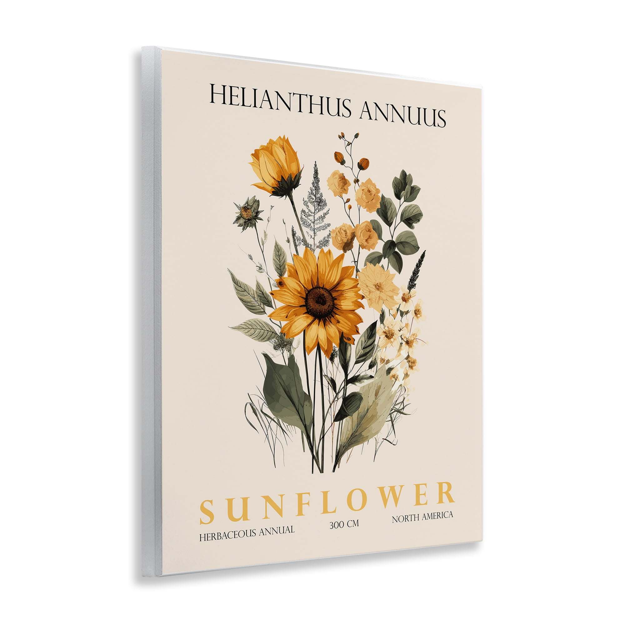 Stupell Industries Natural Sunflower Bundle Wall Plaque Art, design by Christopher Giampietro