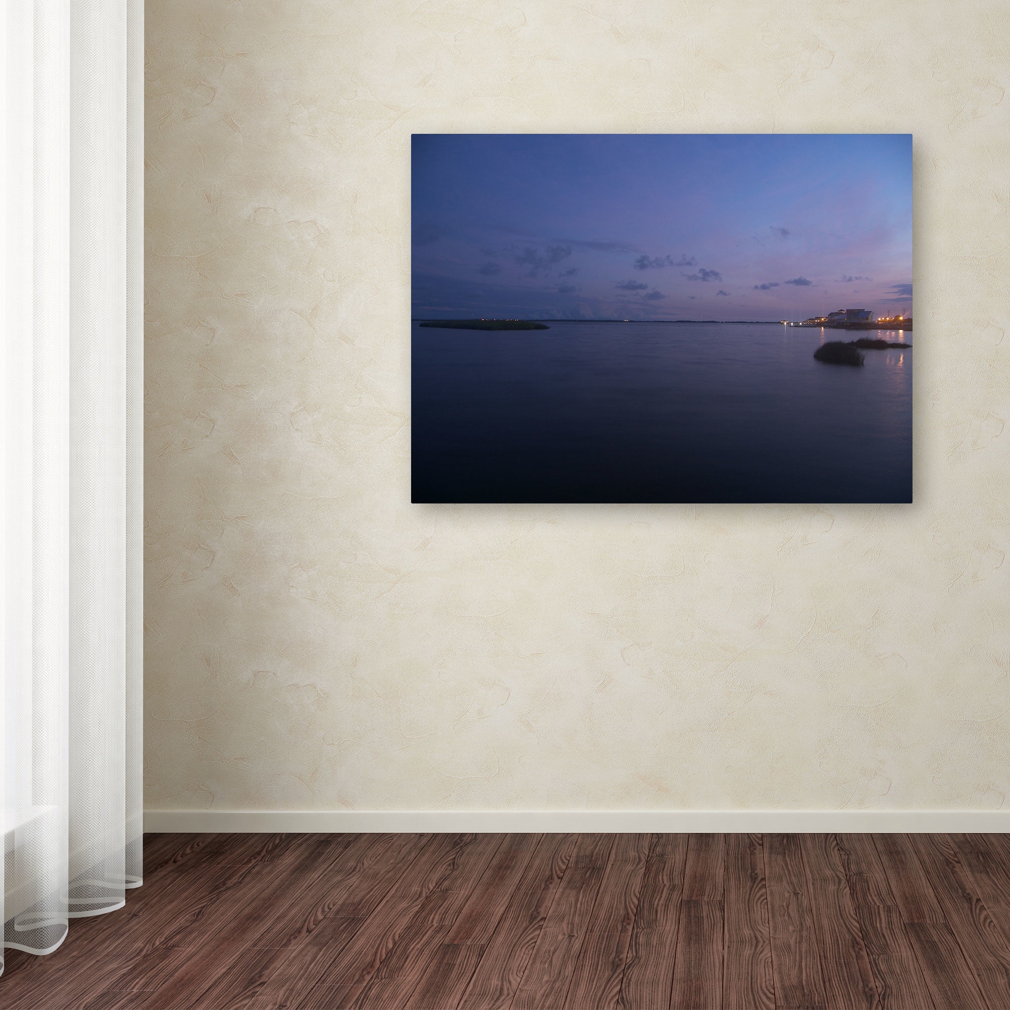 Trademark Fine Art "Pure Elegance" Canvas Art by Monica Fleet
