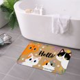 thumbnail image 3 of FJPT Hello Cats Non Slip Flannel Polyester Floor Mat For Bathroom Kitchen Bedroom Decor 31.5x19.7 inch, 3 of 5