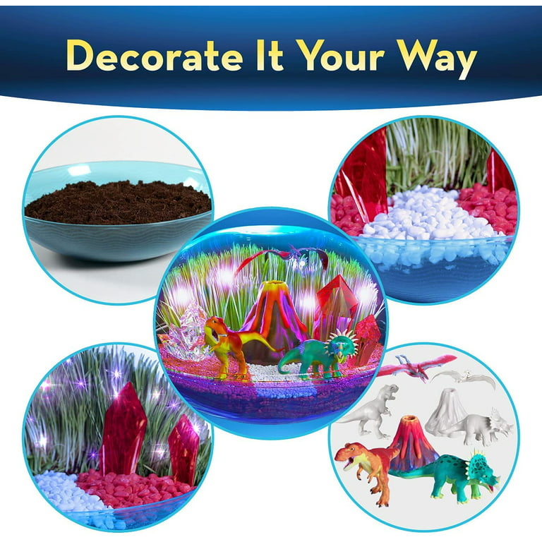 Bryte Dinosaur Light Up Terrarium Kit for Kids: Dino Island with Paintable  Dinosaur & Volcano Figurines, Seed, Soil, LED Lights & More – Arts &  Crafts, STEM Activities for Kids Ages 8-12
