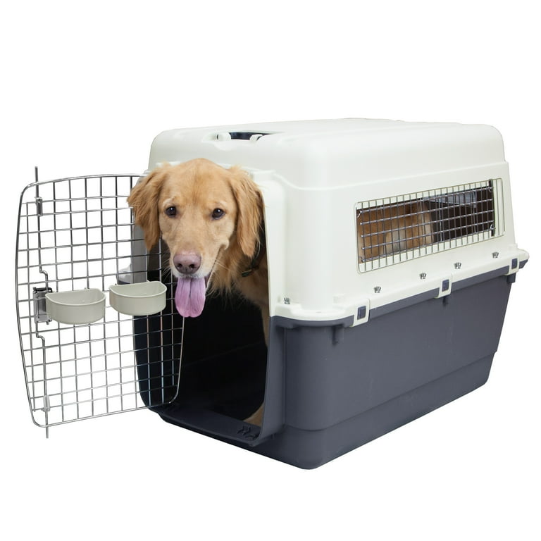 SportPet Designs Airline Approved Plastic Dog Kennel with Wheels