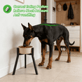 thumbnail image 3 of Fully Adjustable Single Raised Dog Feeder for Large Dogs, Elevated Bowl Stand (Bowl Not Included), 3 of 7