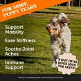 thumbnail image 2 of Pet Honesty Hip & Joint Turmeric Health - Joint Supplement for Dogs, Omega-3 Fish Oil, Turmeric to Support Overall Health & Ease Stiffness - Advanced Pet Mobility Support - 90 Ct (Pumpkin), 2 of 8