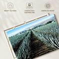 thumbnail image 6 of Elephant Stock Agave Farm Wall Art - Horizontal Canvas Wall Art - Living Room Wall Decor - Nature Canvas - Blue And Brown Decor - 12" x 8", 6 of 8