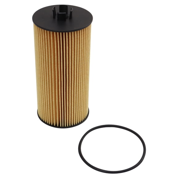 TRQ Engine Oil Filter Fits 11-17 Capacity Of Texas 03-10 Ford 05-16 IC Corporation 02-18 International 10 Workhorse Custom Chassis