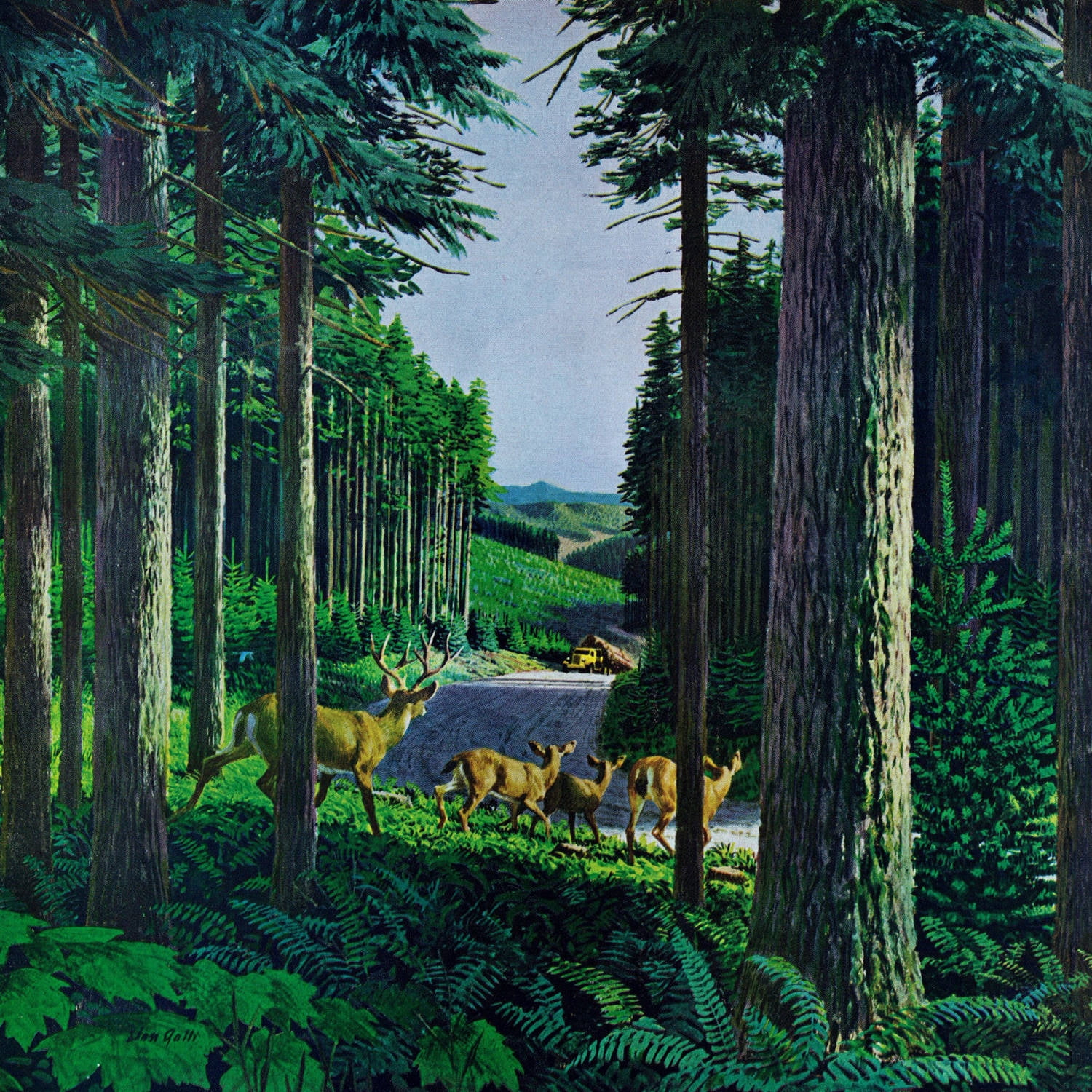 Marmont Hill "Forest Friends" Painting Print on Wrapped Canvas