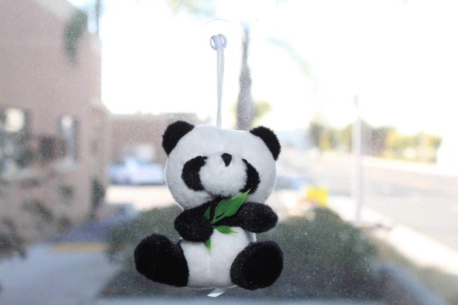 B11642 Cute Panda Stuffed Plush Wall Window Hanging Animal Toy Birthday Gift
