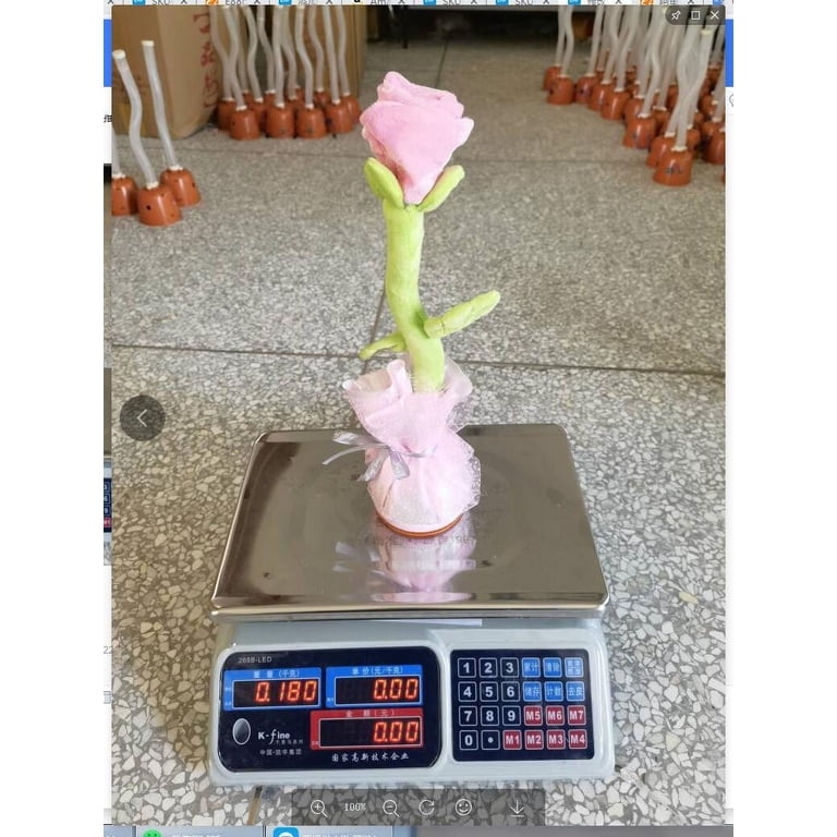 CanGonggg Valentine's Day Singing And Dancing Charging Rose Flower Toy  Toddler Toys Toys For Ages 2-4 Kids Toys Toddler Toys 2-3 Baby Book