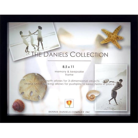 Dennis Daniels W5911E 8. 5 x 11 Craft Box Frame, Ebony