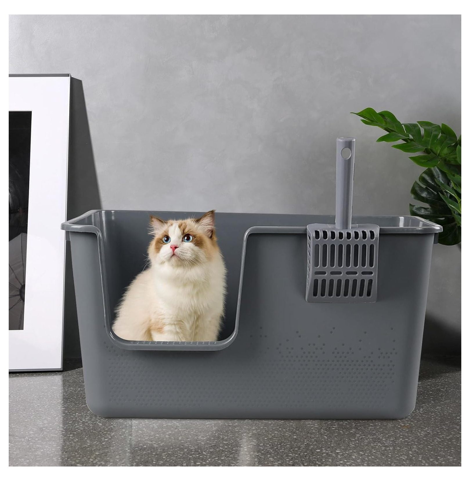 4-Pack Open Top Large Cat Litter Box with High Sided, 12.8" Heigh Anti-Splashing Kitty Litter Box with , Gray