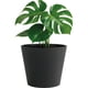 thumbnail image 1 of Maceta Elly Décor Cónica Negro Carbón 13 L con Drenaje Roscable y Protección UV para Interior y Exterior, 1 of 6