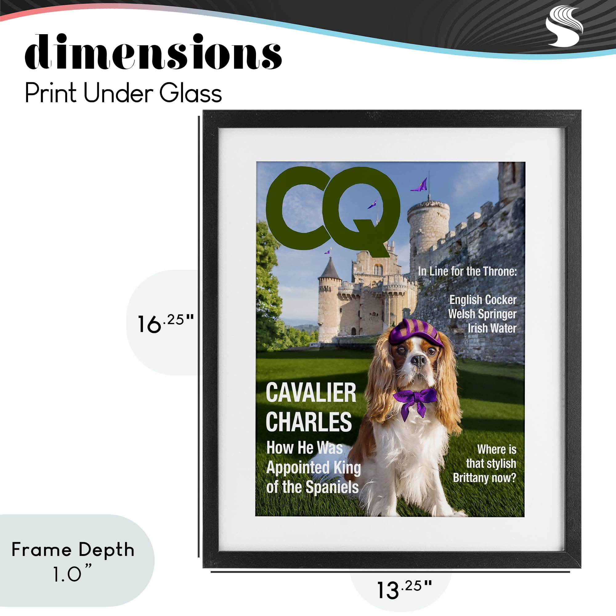 Stupell Industries Royal Cavalier Magazine Black Framed Print Under Glass, design by Grotto Studios