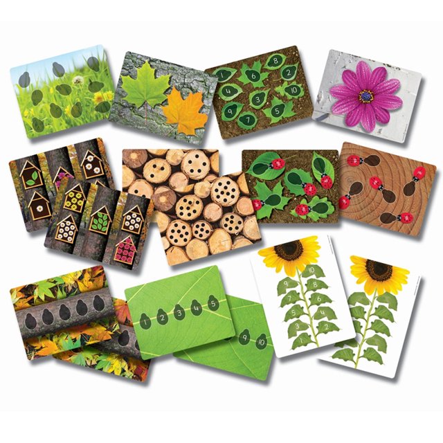 Ladybugs Carte de Chiffres Précoces, Lot de 16