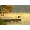 thumbnail image 2 of Zhang, Eric 24x18 Black Modern Framed Museum Art Print Titled - Morning flight, 2 of 4
