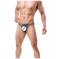 thumbnail image 4 of Gibobby Conjunto de lencería de encaje Día de San Valentín Día de San Valentín Calzoncillos Calzoncillos para hombres Humedad 1PC Wicking Sexy Elástico Transpirable Leopa(Café, XL), 4 of 4