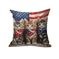 thumbnail image 2 of romoty 4th of July Patriotic Pillow Covers 18"x18", Individual Independence Day Kittens and Gnomes Throw Pillow Case, Square Decorative Cushion Cover for Home Sofa Couch Farmhouse Decor, 2 of 6
