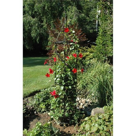 Kinsman AMTUTS 60 in. Solid Steel Black Powder Coated Border Tuteur