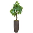 thumbnail image 1 of Vintage Home Artificial Faux Real Touch 5.67 Feet Tall R/T Pachira Aqua With Fiberstone Planter, 1 of 3