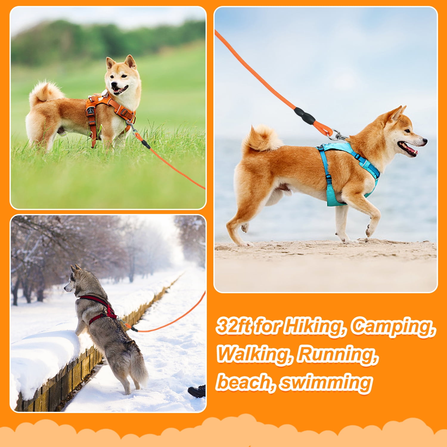 Slip Lead Vivifying Dog Walking Leash 32FT Waterproof Dog Training