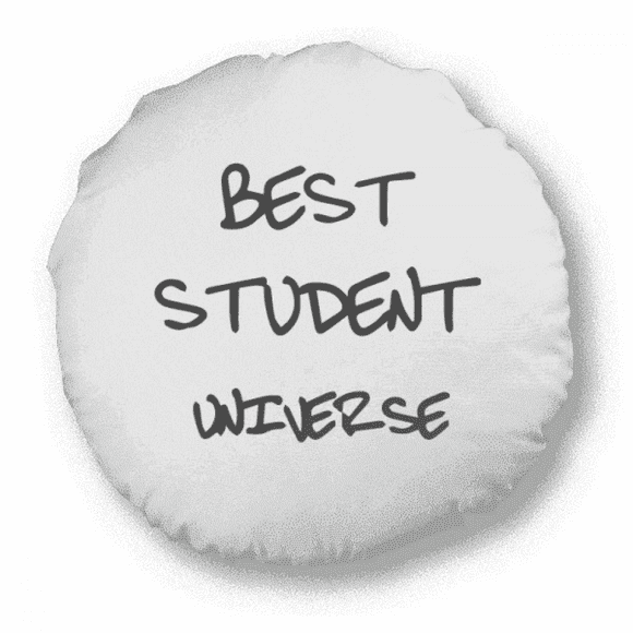 Best Student Universe Student Quote Round Throw Pillow Home Decoration Cushion