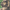 Jurassic Black, variant on Minecraft Boys 16" Backpack, Green