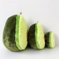 thumbnail image 4 of Cute Avocado Throw Pillow Plush doll Toy Decorative Fruit Cushion decor sofa home party Birthday gift funny stuffed fruit doll, 4 of 6