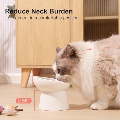Small Raised Cat Bowls, Ceramic Tilted Elevated Food or Water Bowls, Stress Free, Backflow Prevention, Dishwasher & Microwave Safe, Lead & Cadmium Free, White
