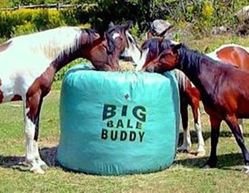Big Bale Buddy Size Large Feed Hay Horses Equine Green Round Bale Feeder 