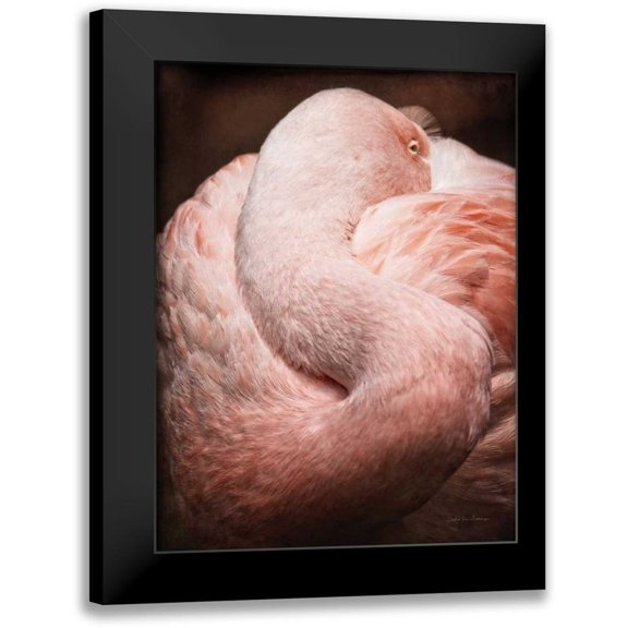 Van Swearingen, Debra 12x14 Black Modern Framed Museum Art Print Titled - Chilean Flamingo I
